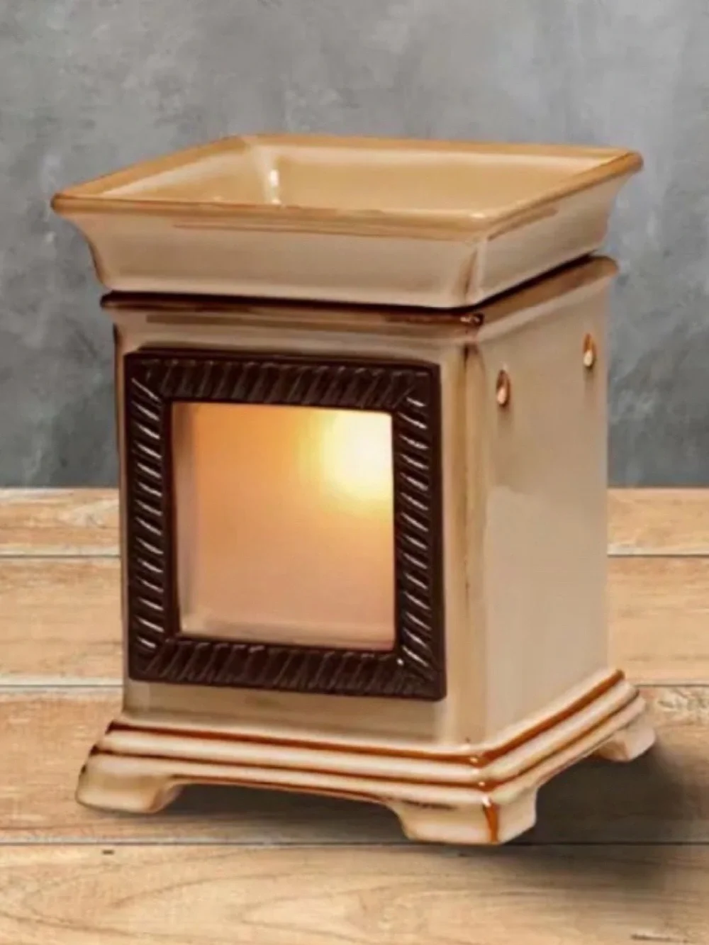 Scentsy DSW Snap Full Size Scented Wax Warmer w/ Snapshot Photo Frame Retired